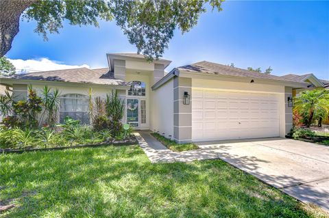 1603 SCOTCH PINE DRIVE BRANDON FL 33511