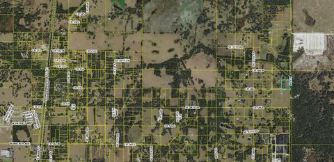 Tiny photo for Unassigned Location Re, Bushnell, FL 33513 (MLS # A4637754)