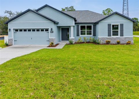 A home in HOMOSASSA