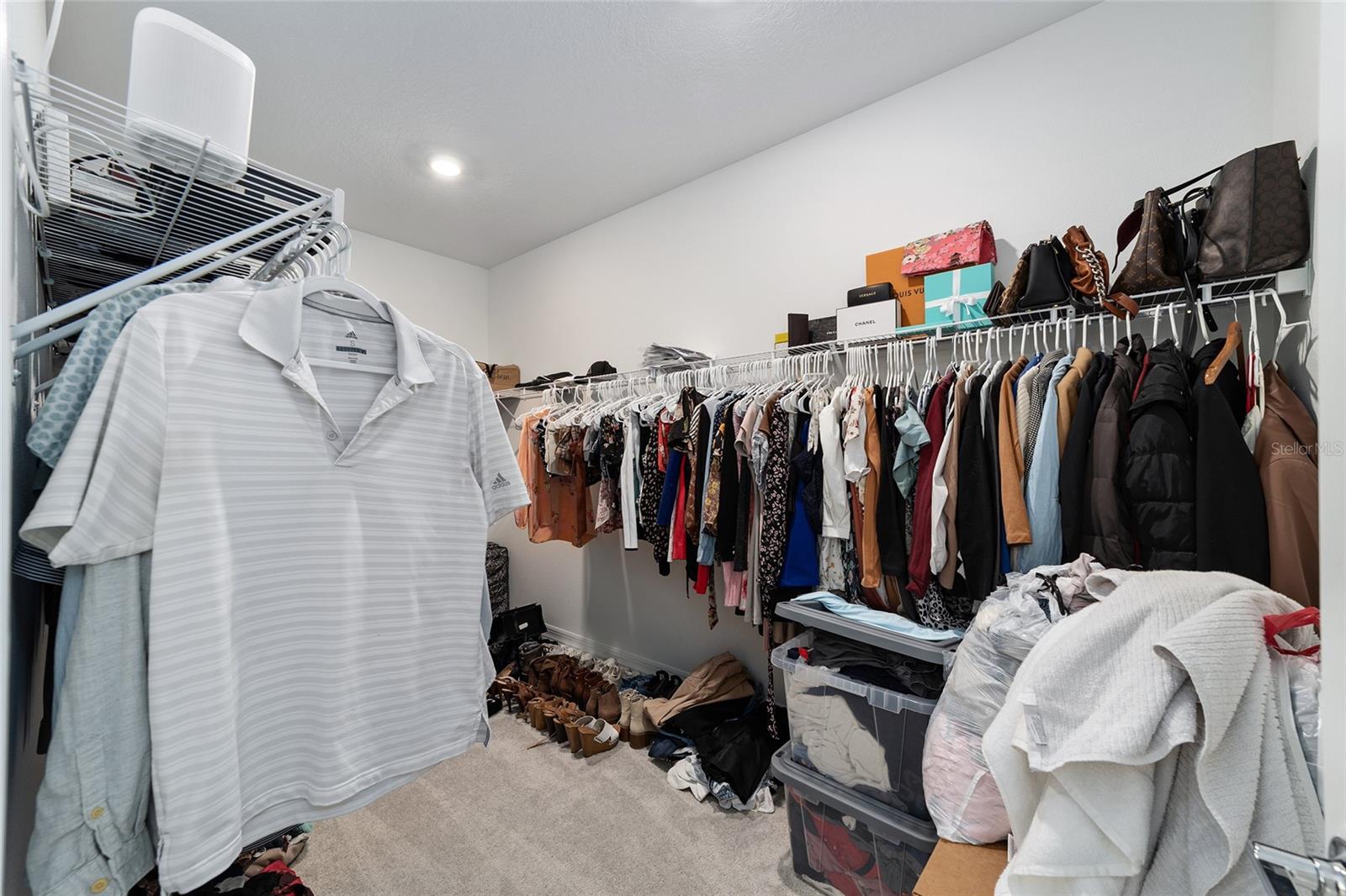 BELLECHASE OAK HAMMOCK - Residential