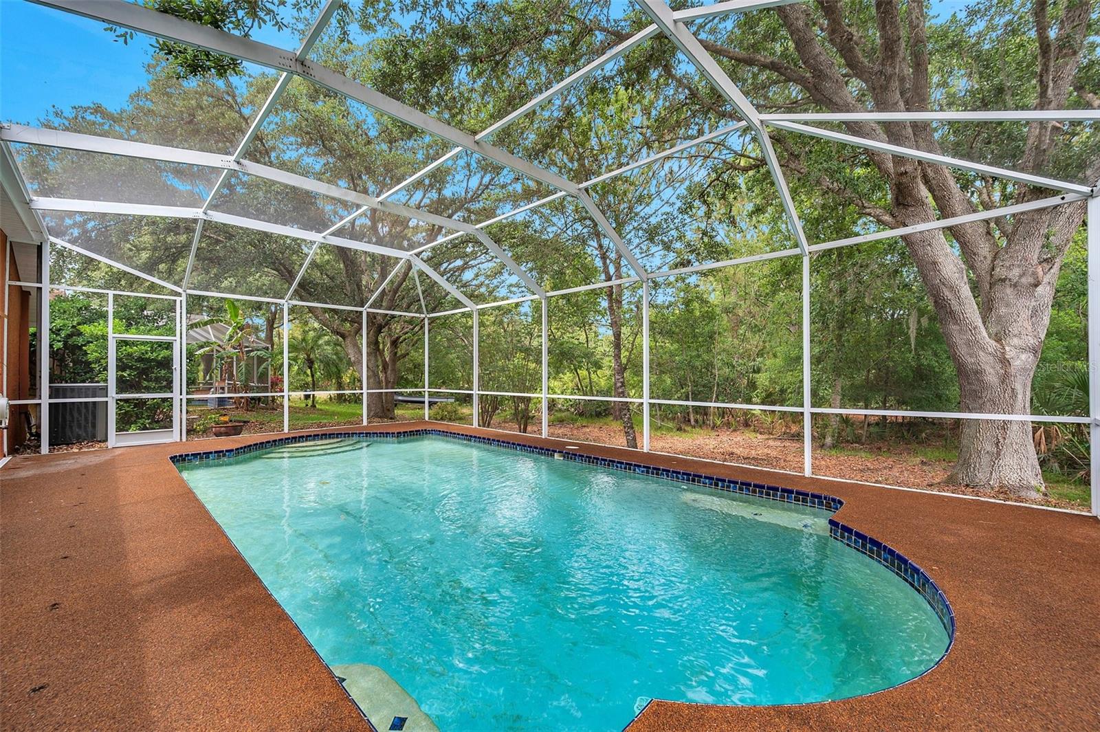 19156 DOVE CREEK DRIVE