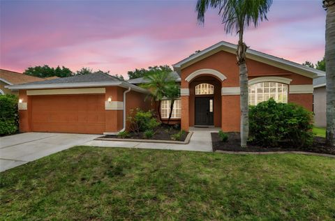 19156 DOVE CREEK DRIVE TAMPA FL 33647