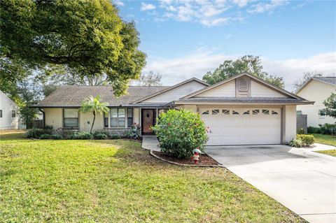 A home in MOUNT DORA