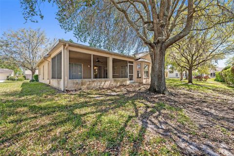 A home in TRINITY