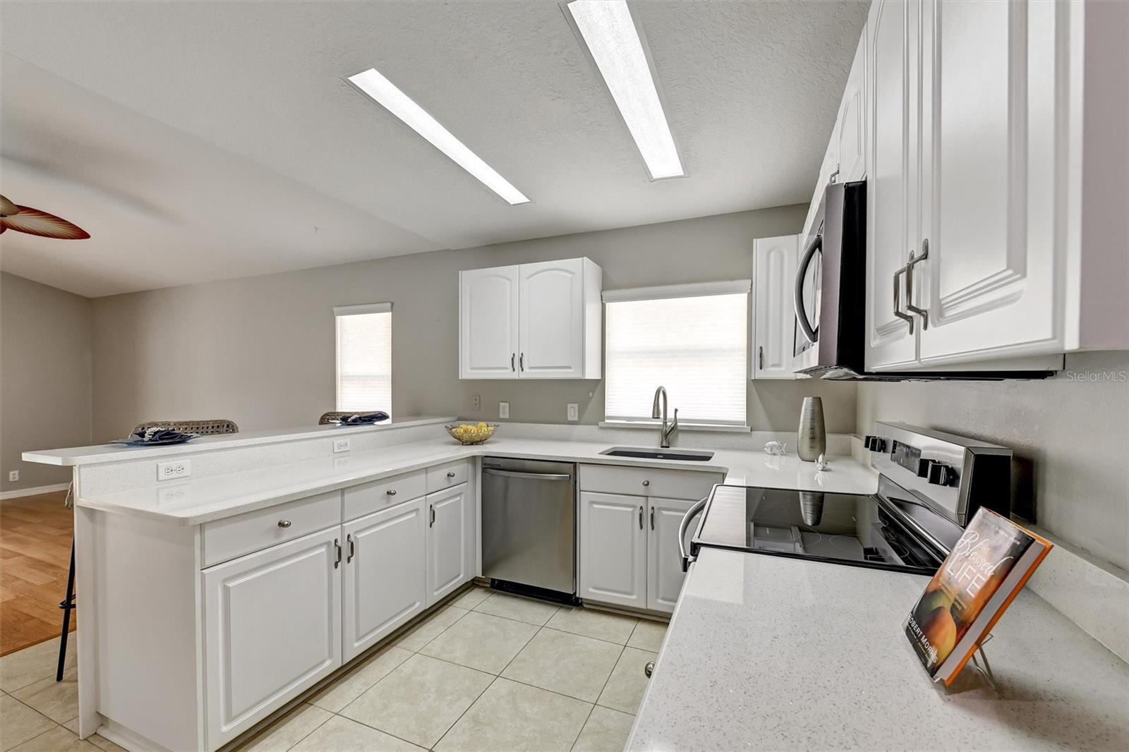 NORTH LAKE OF TARPON SPGS - PH 1 - Residential