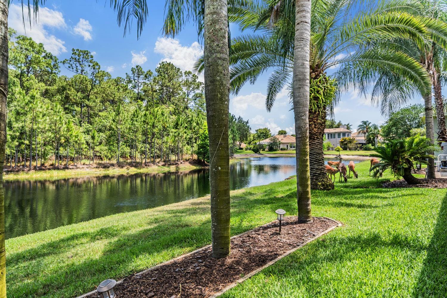 ROBINWOOD AT LANSBROOK - Residential