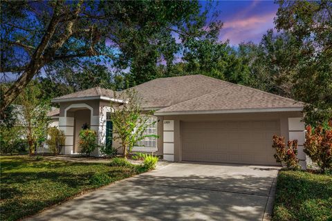 2509 GABLES DRIVE EUSTIS FL 32726