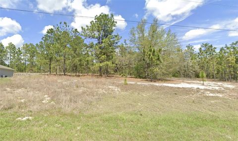 Tiny photo for 1907 W Corrine Street, Dunnellon, FL 34434 (MLS # G5112619)