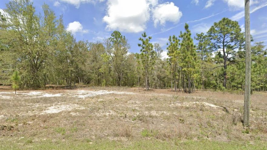LESS THAN ONE MILE TO WITHLACOOCHEE STATE TRAIL! Build your dream home on this beautiful 0.24 acre lot located in the growing community of Citrus Springs! With no HOA fees, you’ll have the flexibility to design the home you’ve been envisioning, with plenty of room for a pool, outdoor living space, or additional garage space. Nestled in a peaceful residential area, this property offers a great balance of privacy and convenience with quick access to US Hwy 41 for an easy commute to Dunnellon, Crystal River, Ocala, and surrounding areas. Outdoor enthusiasts will appreciate being within one mile the Withlacoochee State Trail and close to Dunnellon Trail, perfect for biking, walking, and enjoying Florida’s natural beauty. Citrus Springs Golf & Country Club is just minutes away and features golf, dining, and social memberships available to the public. Rainbow Springs State Park is also a short drive away where you can enjoy kayaking, tubing, swimming, and nature trails. Don’t miss the opportunity to secure your piece of Florida paradise before it’s gone!