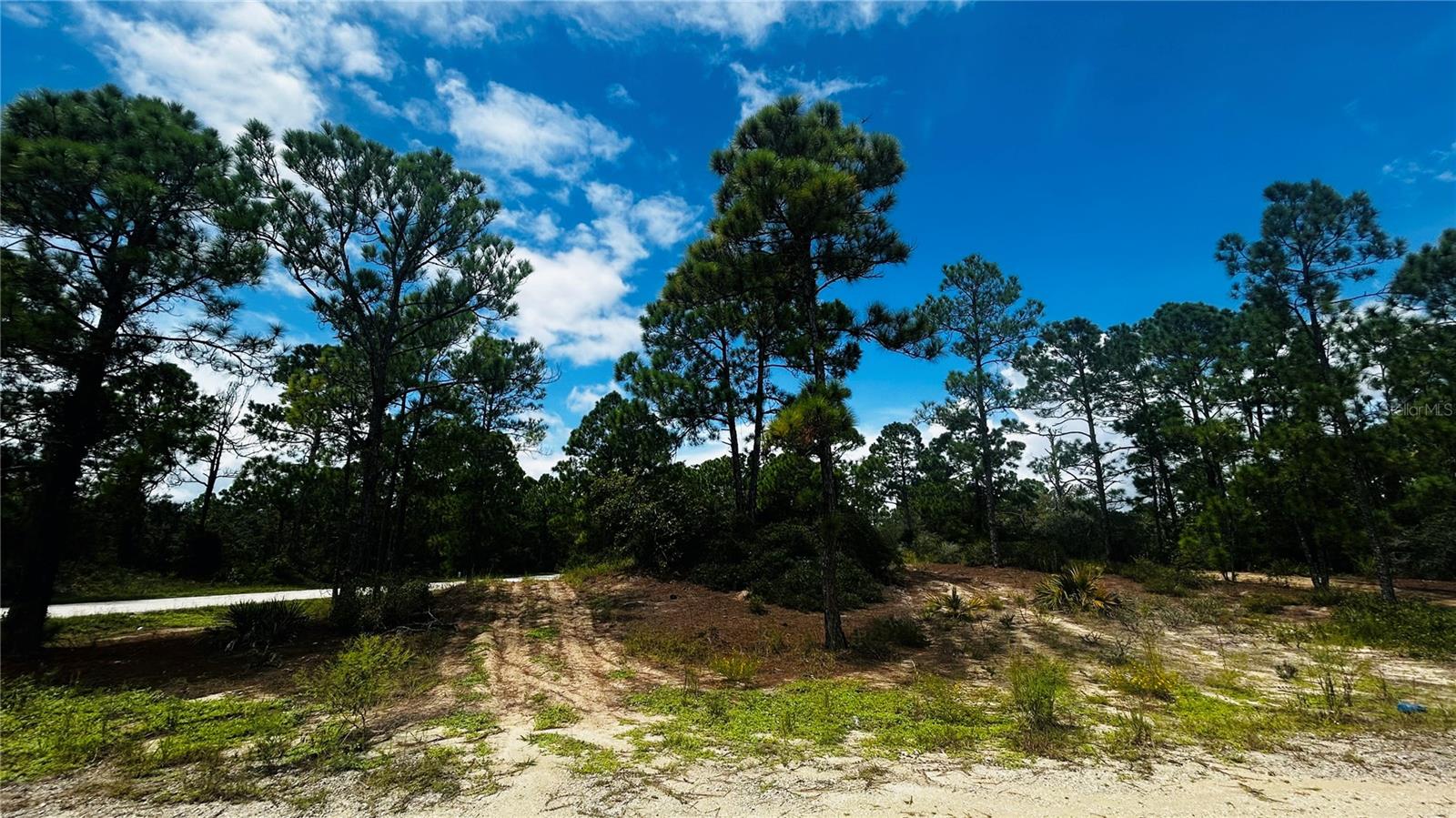 486 DREAMLAND DRIVE