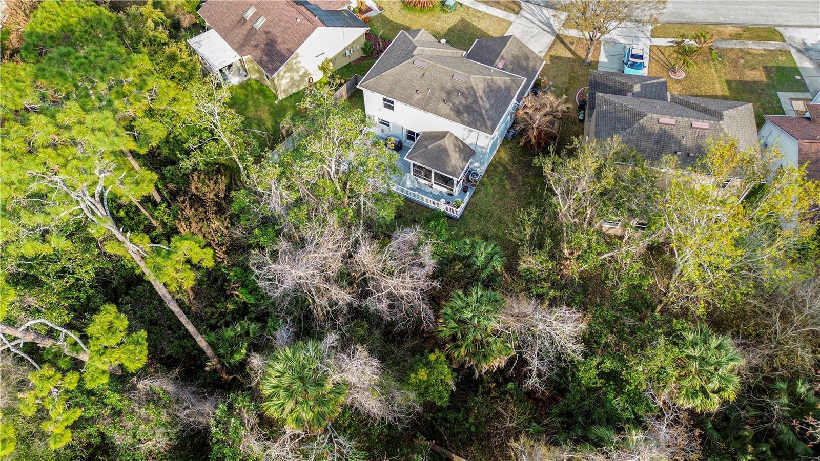 HORIZON PUD PROPOSED IN PORT ORANGE 52 LTS FR - Residential