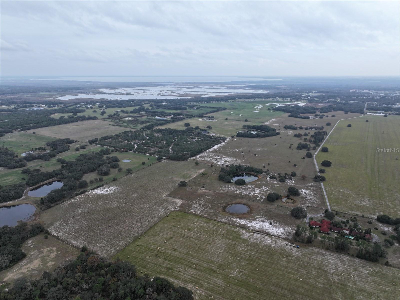 CITRUS FARMS - Land