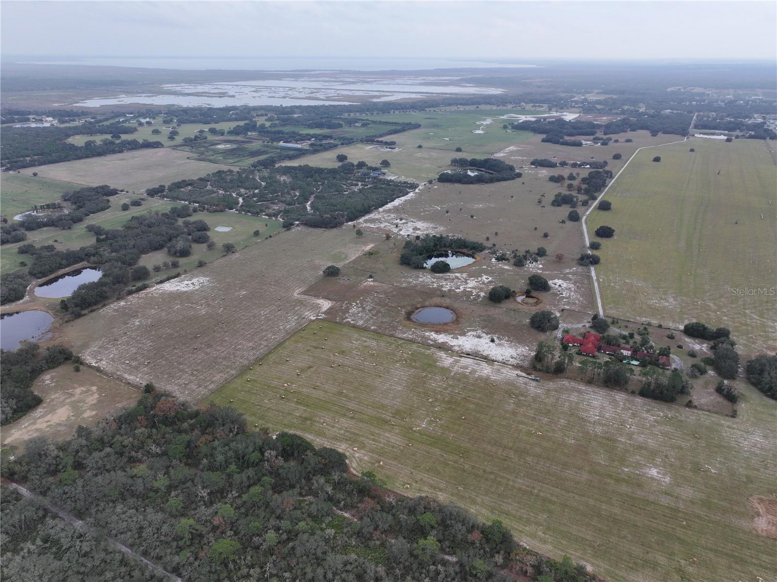 CITRUS FARMS - Land