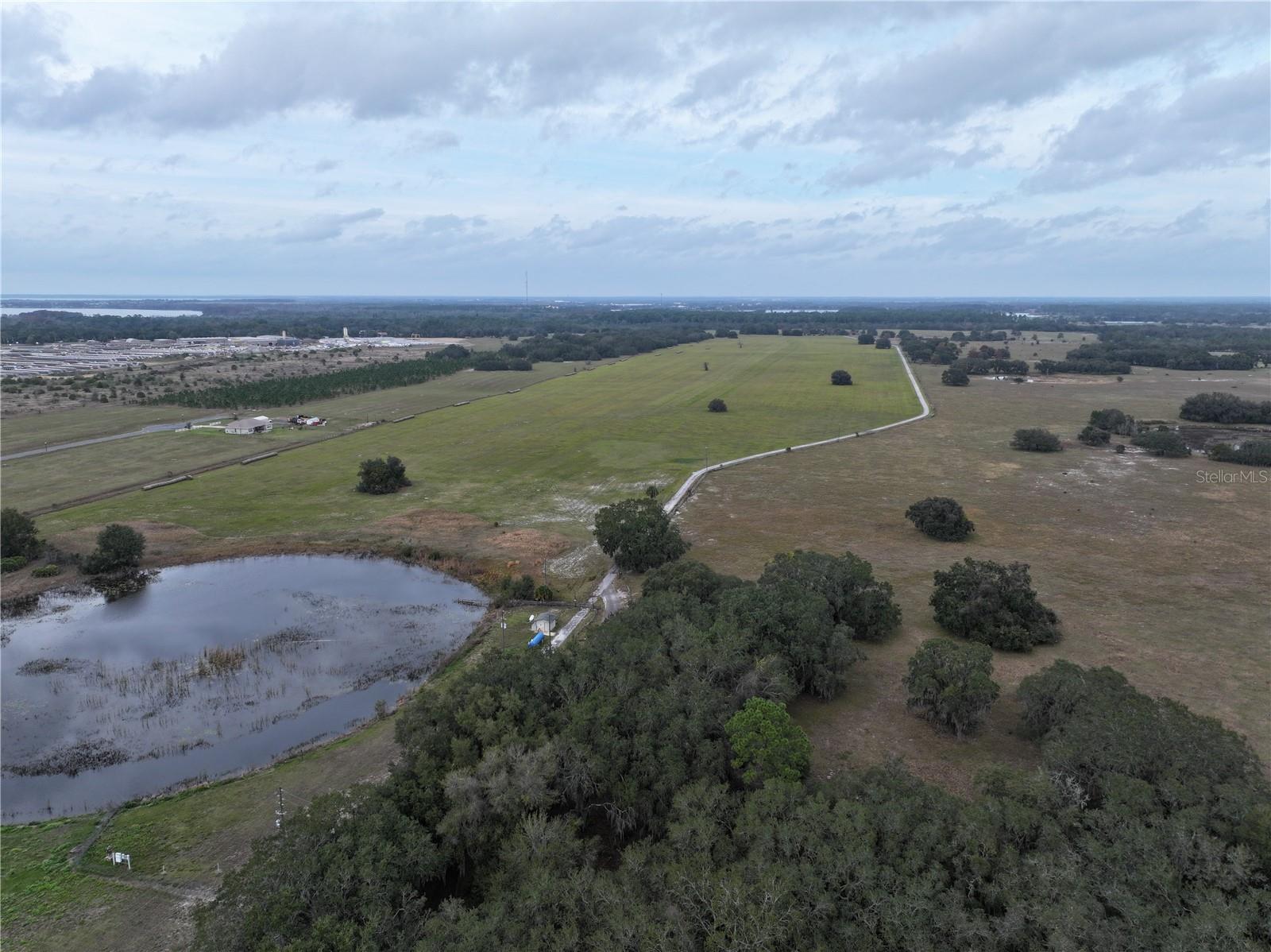 CITRUS FARMS - Land