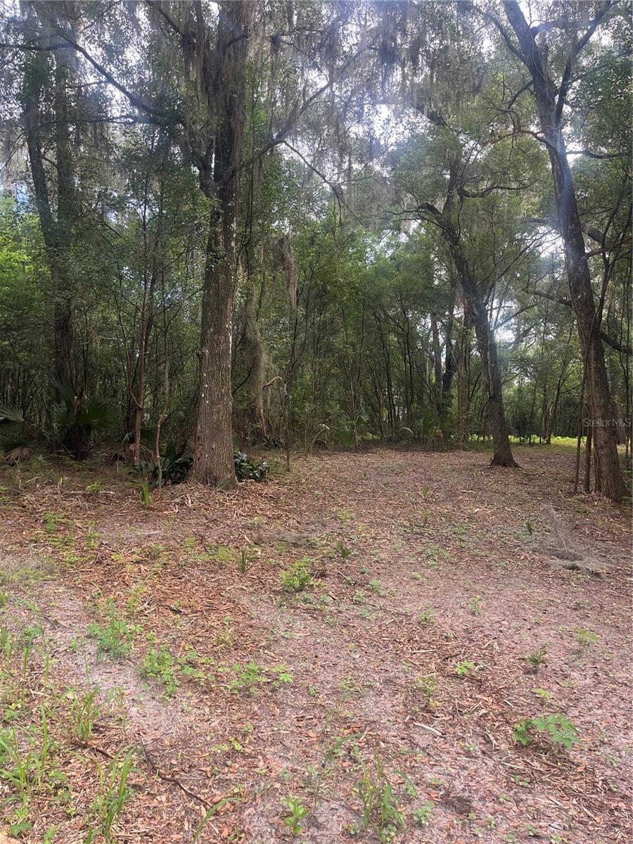 Discover the perfect canvas for your dream home on this beautifully wooded 2.5 acre lot, measuring approximately 324 x327 feet. Situated at the secluded north end of Oak Valley Drive, this high and dry parcel offers both privacy and natural beauty, with mature oaks adding character and shade. There has been partial clearing completed so that it can easily be walked. Underground electrical utility is in place.
Surrounded by custom designed homes, this property is part of a desirable, deed restricted community that ensures quality and consistency. Restrictions included minimum square footage and specified exterior finishes, helping to protect your investment and maintain the neighborhood's appeal.
Although secluded, the location is convenient to shopping, schools, medical offices and less than 3 miles from historic downtown Deland and Stetson University.
Whether you are looking to build a private retreat or a family estate, this exceptional lot provides the ideal setting to call your next home.