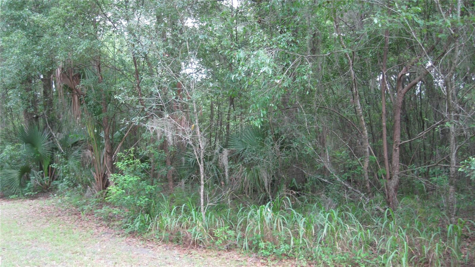 Exceptional 2.5 acre wooded lot ready for your custom home. The lot measures 324 x 337 ft. It is high and dry and nicely wooded with some mature oaks. This lot offers secluded privacy at the north end of Oak Valley Drive. Surrounding homes are custom designs. The subdivision is subject to deed restrictions which require stipulated minimum square footage and exterior finishes for future construction.