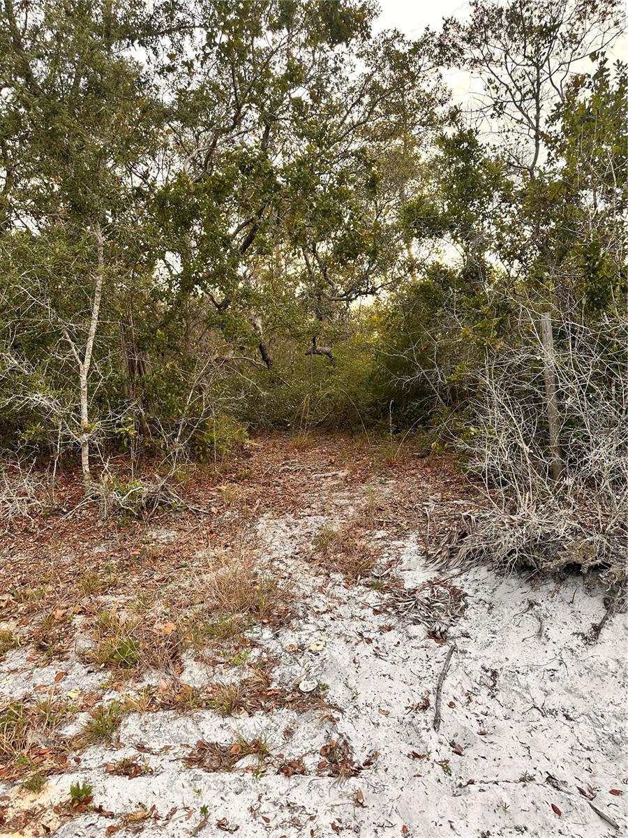 Spacious Half-Acre Lot in Deltona – Ideal for Your Dream Country Home!
Welcome to your future homesite in the heart of Deltona, Florida! This nearly half-acre unimproved parcel offers the perfect canvas to build the custom country estate you’ve always envisioned. Tucked away in a peaceful residential area, this lot provides ample space and flexibility to design a home that meets all your needs — and more.
Imagine waking up each morning in your dream country-style residence, complete with multiple bedrooms, a private in-law suite, and a three-car garage—plus dedicated space for your golf cart or recreational toys. Whether you're looking to build a serene family retreat or a versatile multi-generational home, this lot offers the space and zoning to make it a reality.
Enjoy the benefits of no HOA, giving you freedom to customize your home and land the way you want. The lot is conveniently located near I-4, shopping, schools, and medical centers, while still offering a sense of privacy and tranquility.
Don't miss this opportunity to secure a large, buildable lot in one of Central Florida’s fastest-growing areas. With rising demand and limited inventory, now is the time to invest in land and build the lifestyle you deserve.
Build big, dream bold — this is the lot that makes it possible!