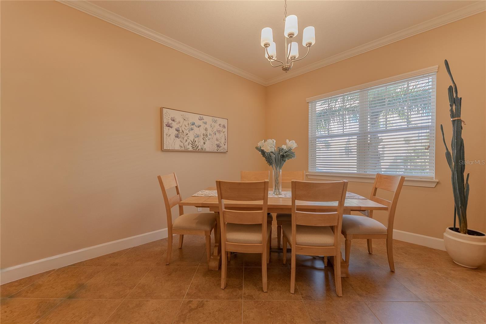 COVE AT INDIAN ROCKS BEACH - Residential