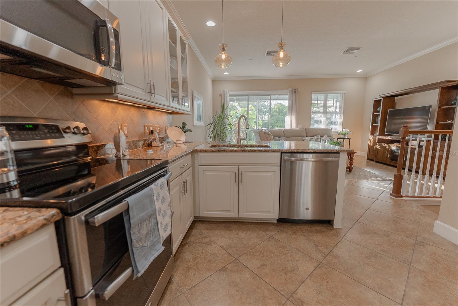 COVE AT INDIAN ROCKS BEACH - Residential