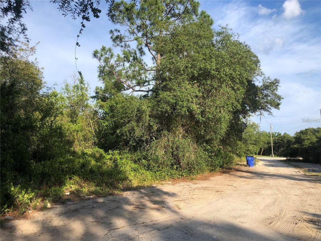 Photo of 2610 N Rehrer Road, Avon Park, FL 33825 (MLS # S5127478)