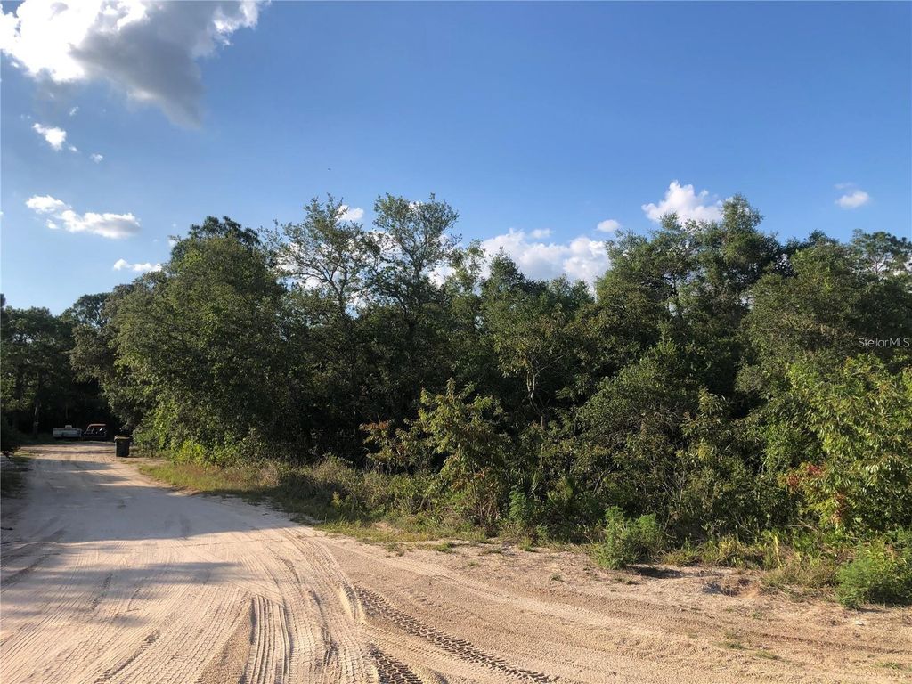 Photo of 2610 N Rehrer Road, Avon Park, FL 33825 (MLS # S5127478)