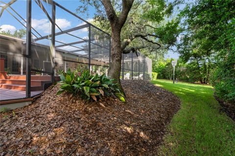 A home in PALM HARBOR