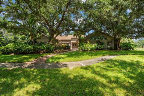 A home in PALM HARBOR