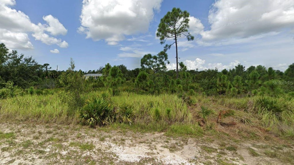Photo of 13243 Armour Drive, Punta Gorda, FL 33955 (MLS # OM733182)