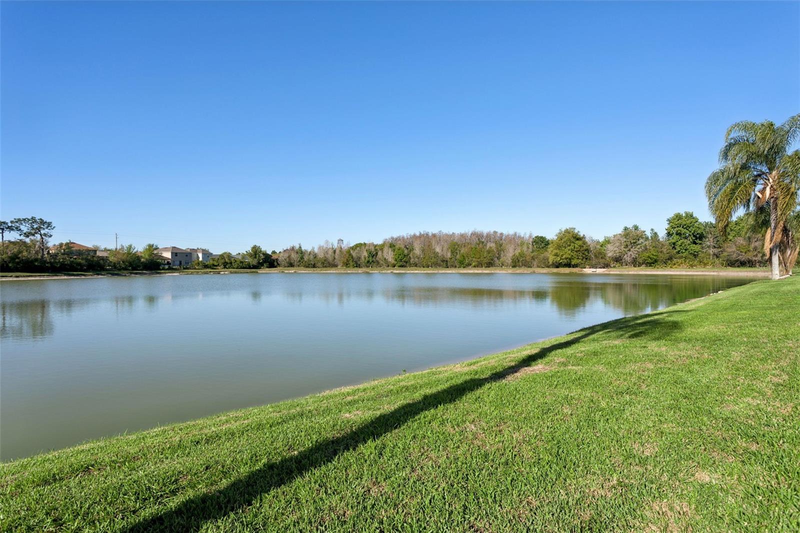 MEADOW POINTE - Residential