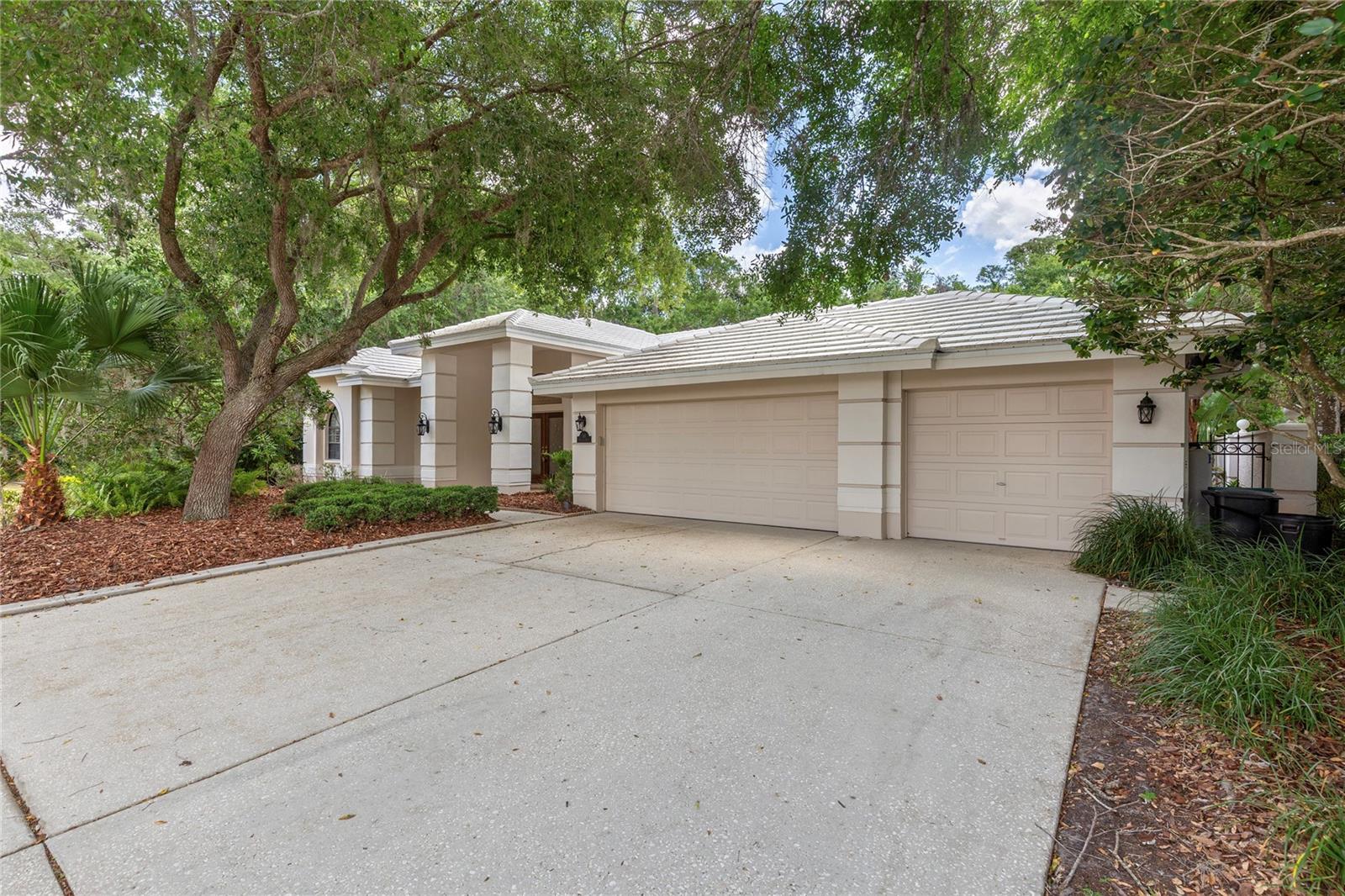 50 KELLEYS TRAIL