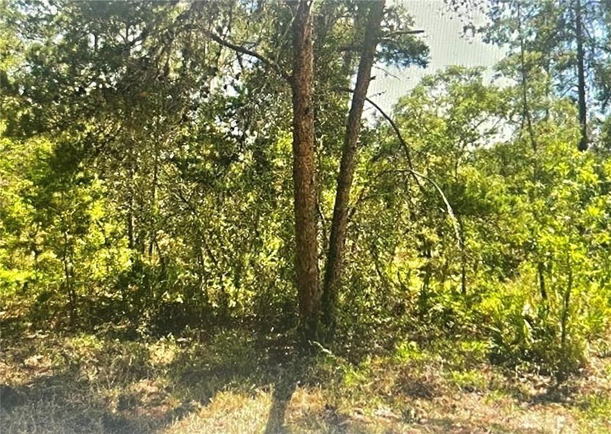 Great lot to build your dream home. Deed-Restricted subdivision, surrounded by beautiful custom-built Homes. 
This established neighborhood Sugarmill Woods Oaks Village features public utilities.