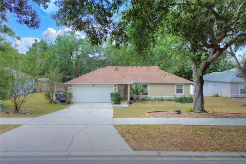 618 MEADOW PARK DRIVE MINNEOLA FL 34715