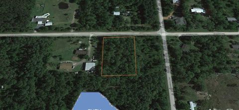 6017 NUTWOOD AVENUE BUNNELL FL 32110
