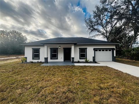 3070 SE 143RD PLACE SUMMERFIELD FL 34491