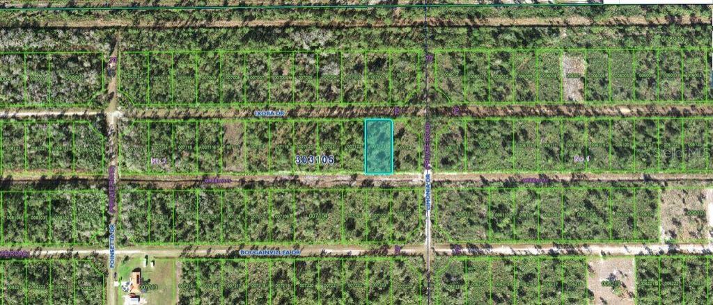 Photo of 203 Ixora Drive, Indian Lake Estates, FL 33855 (MLS # O6272521)