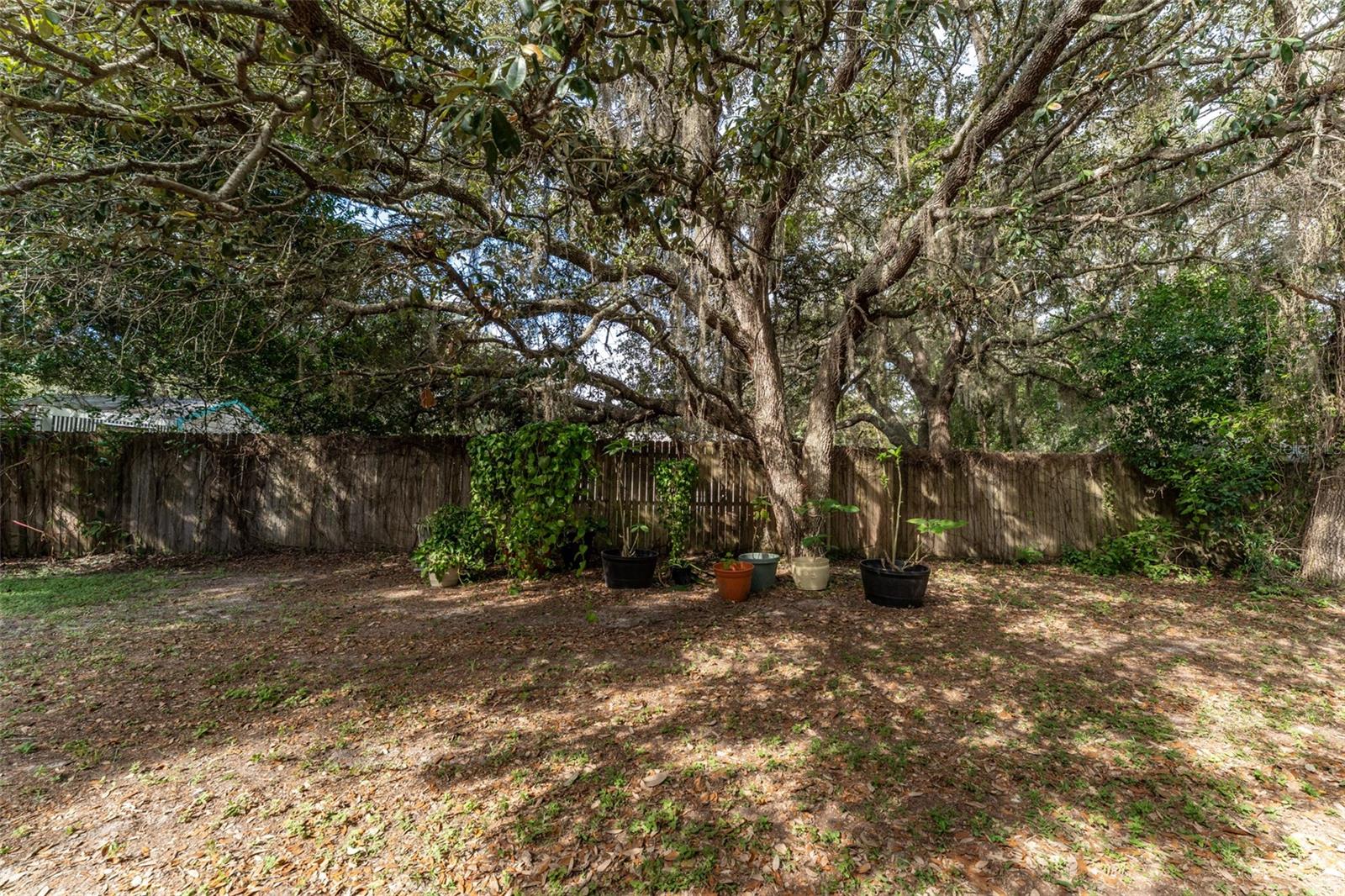 SASSER OAKS UNREC SUB - Residential