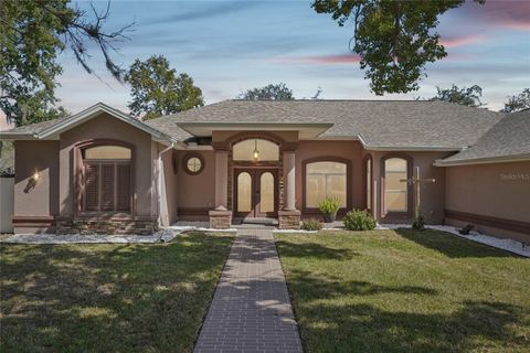 Photo of 321 Cressida Circle, Spring Hill, FL 34609 (MLS # TB8445083)