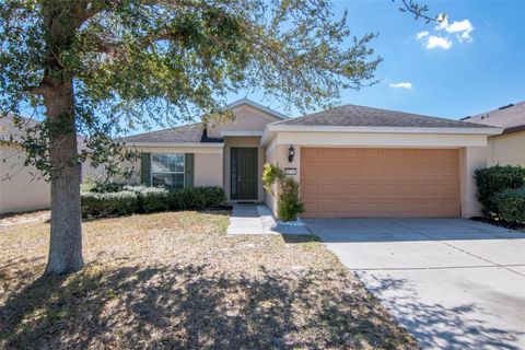 Photo of 15566 Sword Lily Place, Brooksville, FL 34604 (MLS # TB8474826)
