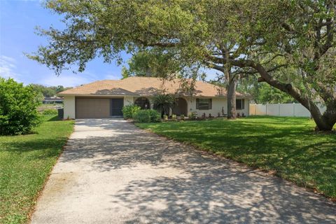 2933 S SKYLINE DRIVE INVERNESS FL 34450