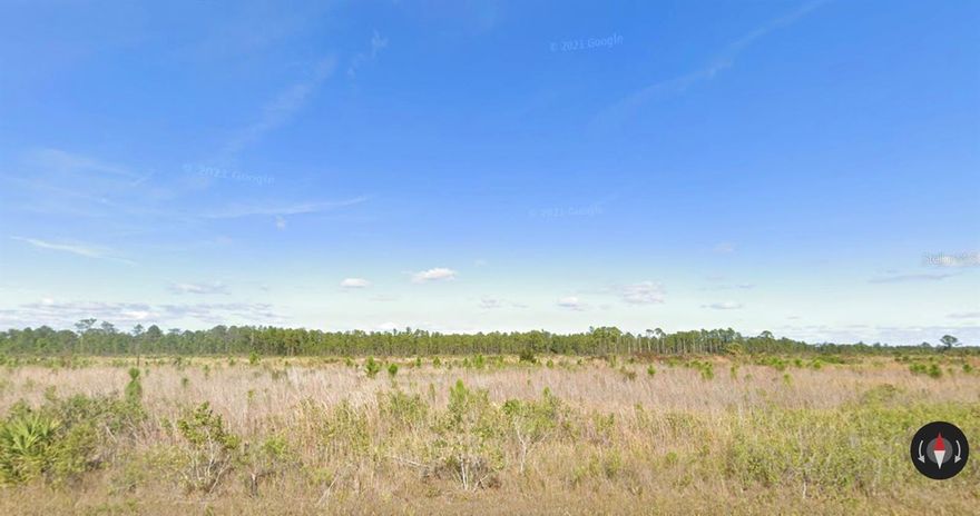 Affordable 0.50-acre residential lot in the peaceful lake and golf community of Indian Lake Estates. This half-acre property offers privacy and natural surroundings with access to community amenities including golf course, marina, clubhouse, fishing pier, and boat ramps near renowned Lake Weohyakapka (Lake Walk-in-Water). Ideal for a custom home, seasonal retreat, or long-term investment. Conveniently located approx. 35–40 minutes to Lake Wales, 45–50 minutes to Winter Haven, about 1 hour 20–25 minutes to Orlando, and 1 hour 30–40 minutes to Tampa. Nearby shopping, dining, and healthcare within reasonable driving distance. Cash purchase only. Buyer to pay all closing costs.