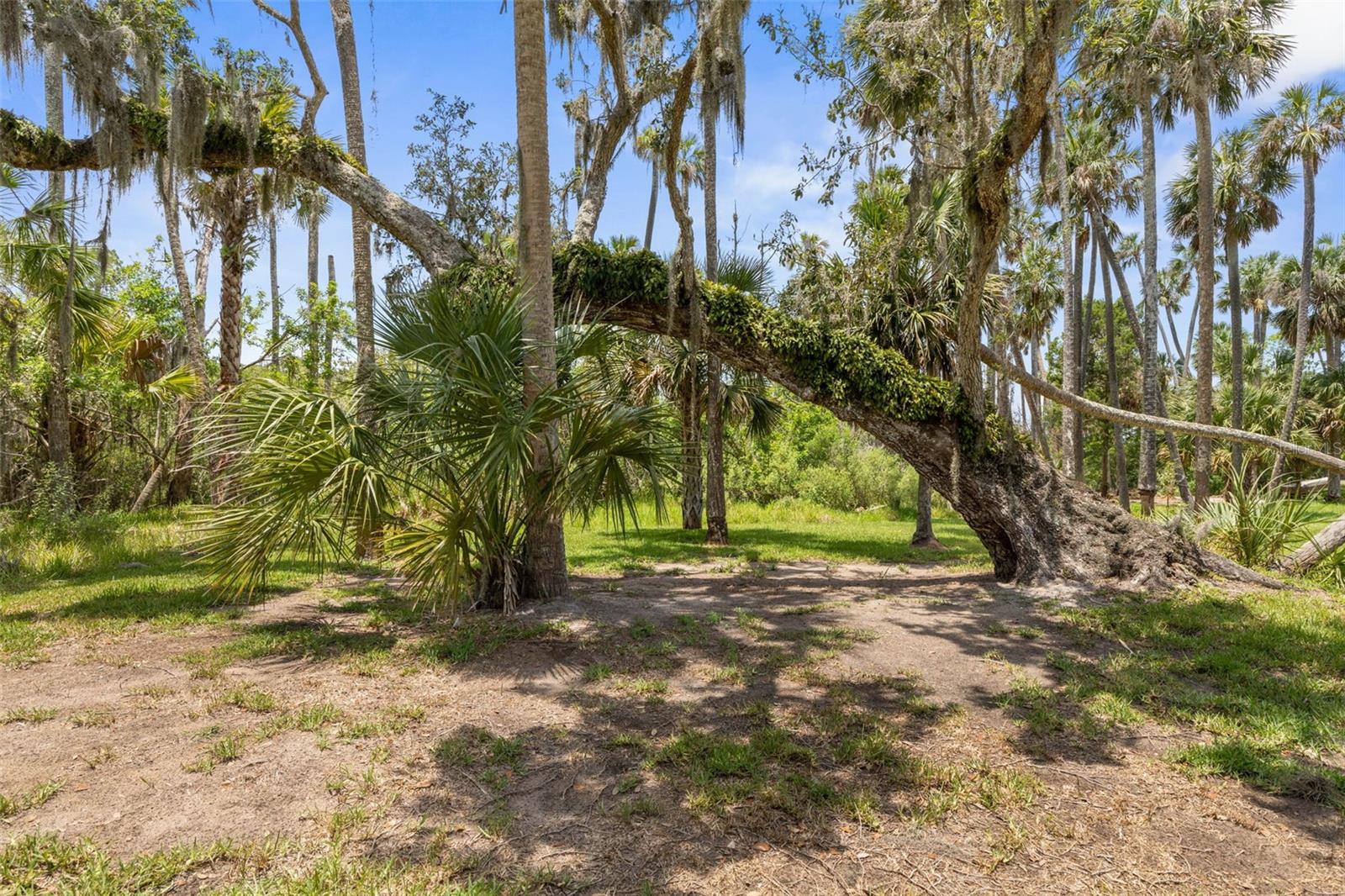 WATERWOOD PARK - Residential