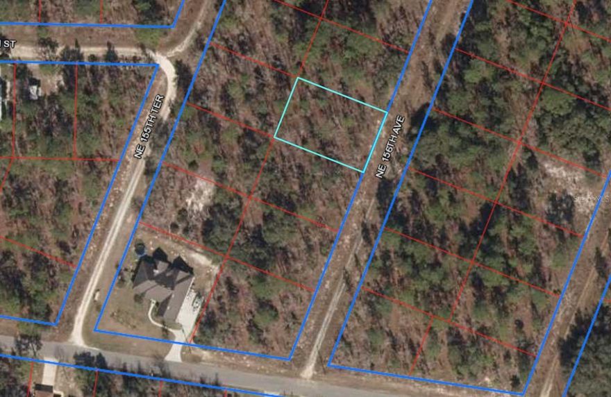 Discover the perfect spot for your dream home on this 0.23-acre lot in the exclusive Williston Highlands Golf and Country Club. Site built homes only. Enjoy proximity to some of Florida’s finest natural attractions, including Cedar Lakes Woods and Gardens, Devil’s Den Spring, Rainbow Springs State Park, Waccasassa Bay State Park, and Cedar Key. Conveniently located just 10 minutes south of Williston, 25 minutes to Gainesville, and 30 minutes to Ocala. The seller is highly motivated and invites all offers for review.