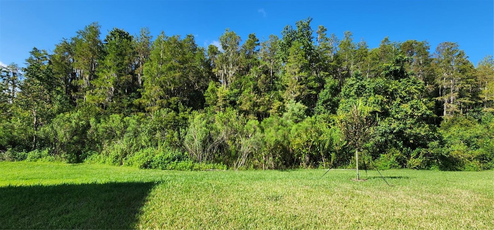 ESTANCIA PH 2B2 - Residential Lease