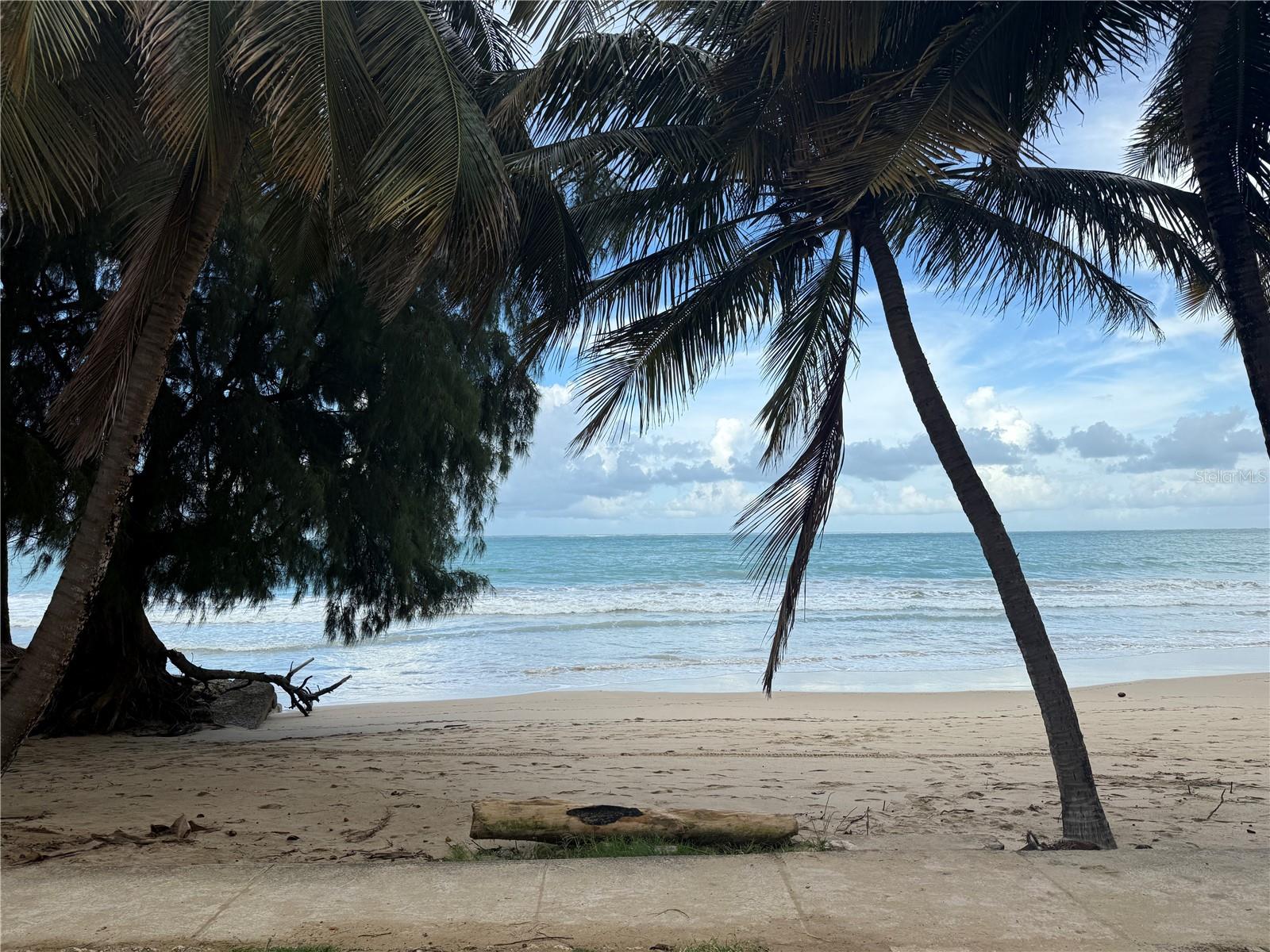 CONDOMINIUM WALDORF TOWER - Residential