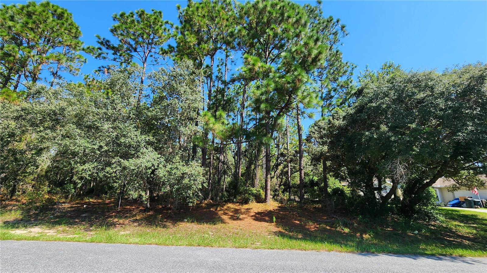 Beautiful homesite on smooth paved road in the growing subdivision of Citrus Springs. Deed restrictions but no HOA fees and all of the homes are well maintained, making Citrus Springs a very desirable and wholesome place to create memories for and with your family. Neighborhood features include close proximity to the famous Withlacoochee State Trail for biking, hiking and great nature walks. Plus, a library, community center for social events, lighted tennis courts and a park w/Softball Field. The golf course includes a restaurant, putting greens and driving range for hours of relaxing fun. It is conveniently located just minutes from boating, fishing, diving, beautiful freshwater springs, restaurants, shopping, medical services, supermarkets and more!