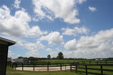 Tiny photo for 19830 SE 15th Place, Morriston, FL 32668 (MLS # OM705690)