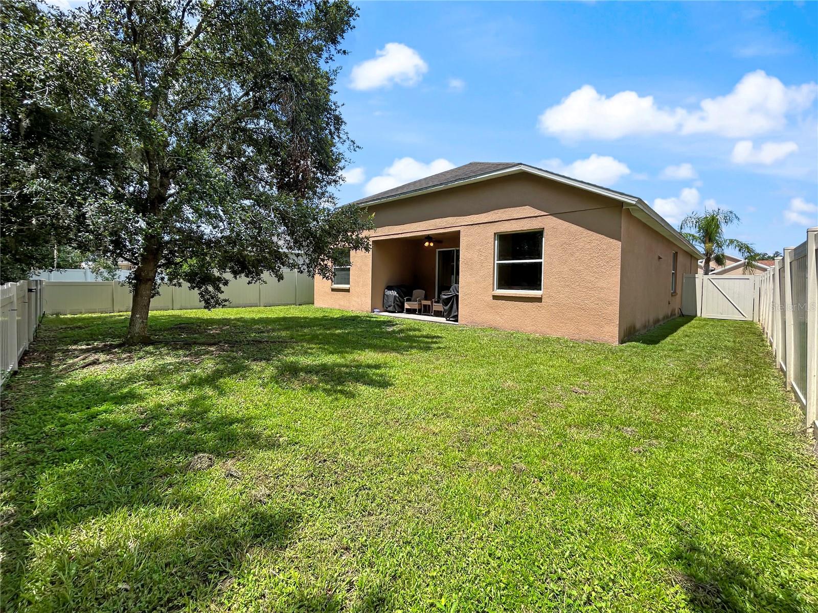 4079 PACENTE LOOP