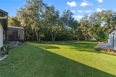 A home in WINTER GARDEN