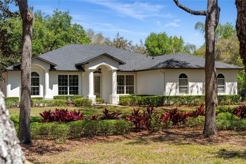 17577 DAVENPORT ROAD WINTER GARDEN FL 34787