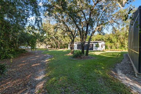 A home in WINTER GARDEN